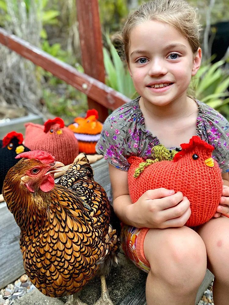 Chocolate the Chubby Chicken