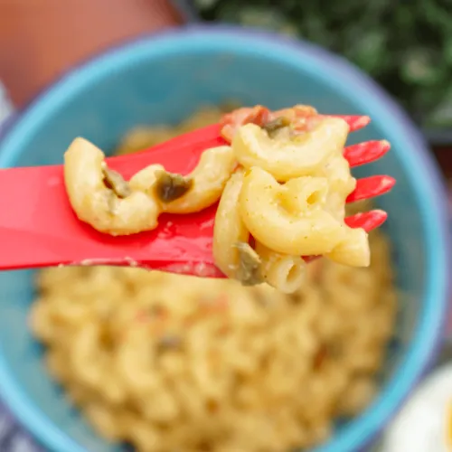 Hatch Green Chile, Garlic, Cheddar Mac & Cheese by FishSki Provisions